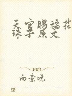 天官赐福花怜塞珠子原文