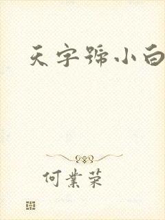 天字号小白脸