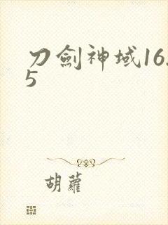 刀剑神域16.5