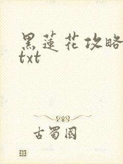 黑莲花攻略手册txt