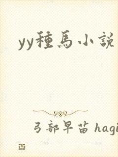 yy种马小说