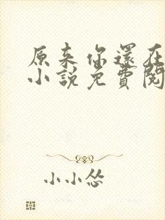 原来你还在这里小说免费阅读