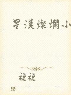 星汉灿烂小说