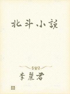 北斗小说