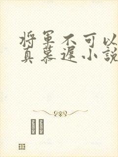 将军不可以魏云真慕迟小说笔趣阁