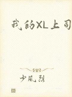 我的XL上司