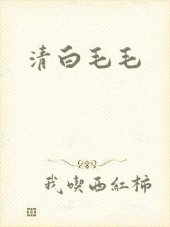 清白毛毛
