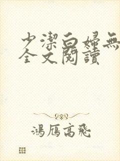 少洁白妇无删减全文阅读