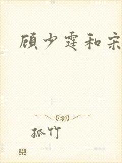 顾少霆和宋斯曼