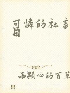 可怜的社畜东度日