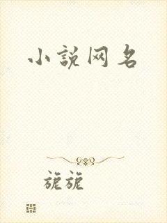小说网名