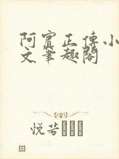 阿宾正传小说全文笔趣阁