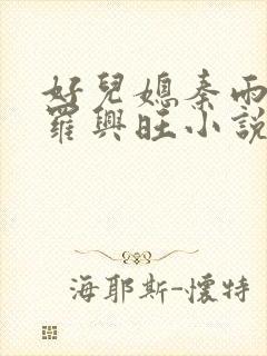 好儿媳秦雨罗明罗兴旺小说