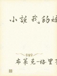 小说 我的娇妻