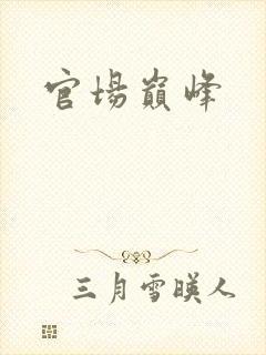 官场巅峰