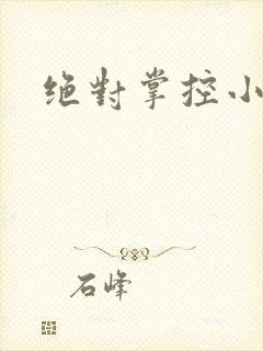 绝对掌控小说