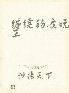 缠绕的夜晚双男主