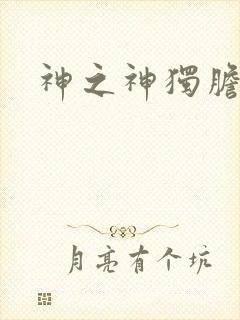 神之神独胆王
