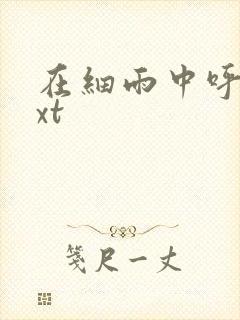 在细雨中呼喊txt