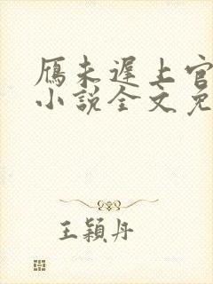 雁未迟上官穿越小说全文免费阅读