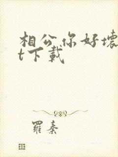 相公你好坏txt下载
