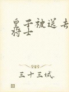 皇子被送去犒劳将士