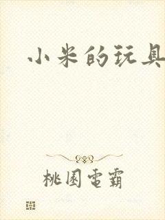 小米的玩具日记