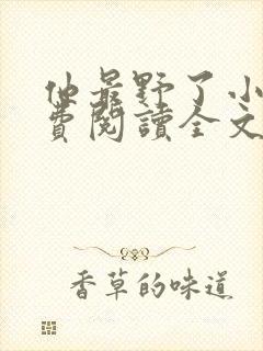 他最野了小说免费阅读全文