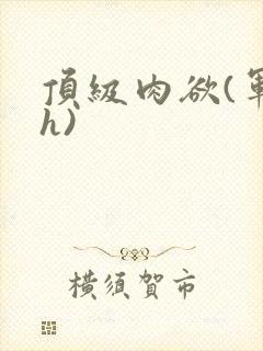 顶级肉欲(军高h)