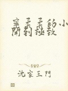 宁柔柔的小泬撑开到极致