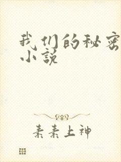 我们的秘密泰剧小说