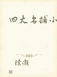 四大名捕小说