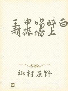 王申喝醉白洁被赵振墙上