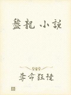 盘龙 小说