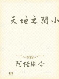 天地之间小说