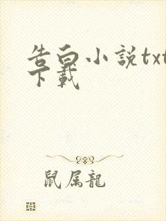 告白小说txt下载