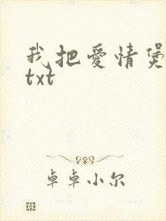 我把爱情煲成汤txt