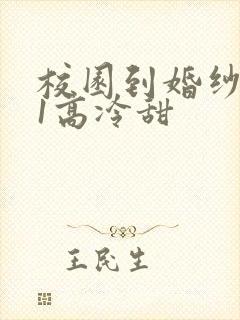 校园到婚纱1V1高冷甜