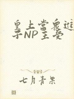 皇上当众进入太子NP主受