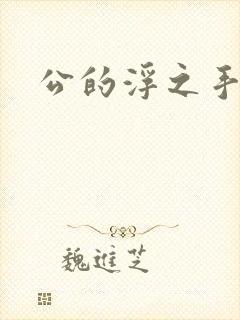 公的浮之手中字