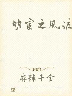 明宦之风流无边