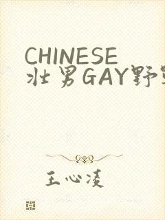 CHINESE壮男GAY野战强迫TUBE