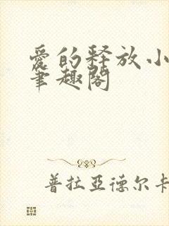 爱的释放小说 笔趣阁