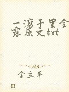 一泻千里金银花露原文txt