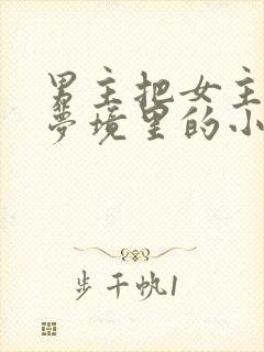 男主把女主拖进梦境里的小说