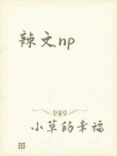 辣文np