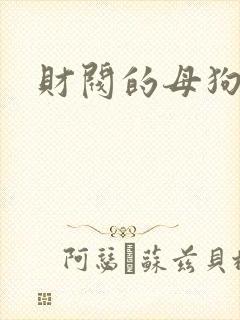 财阀的母狗们