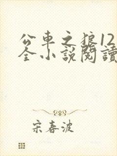 公车之狼12集全小说阅读