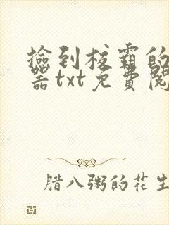 捡到校霸的遥控器txt免费阅读by阳阳