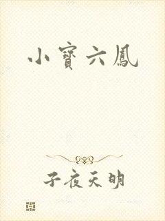 小宝六凤